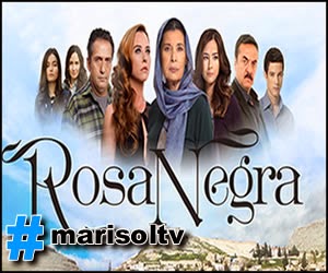 ROSA NEGRA (TURQUIA) JUN/01/MAY/31-2022